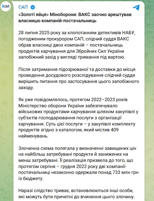 ВАКС заарештував власницю компаній-постачальниць продуктів для ЗСУ